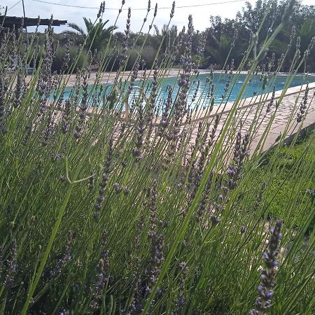I 5 Sensi Villa มารีนาดิมอดิกา ภายนอก รูปภาพ