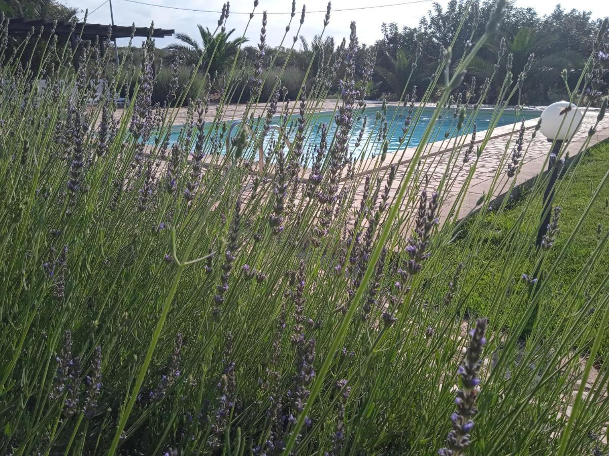 I 5 Sensi Villa มารีนาดิมอดิกา ภายนอก รูปภาพ